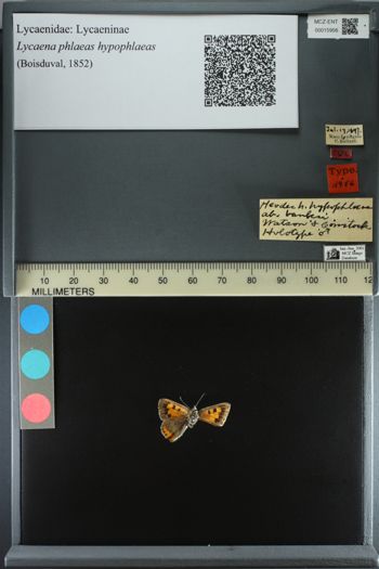 Media type: image;   Entomology 15956